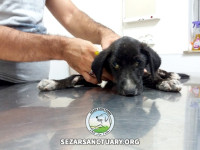 02-negar-sezar-sanctuary