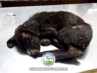 08-negar-sezar-sanctuary