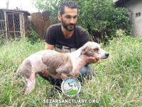 02-khanoom-koochik-sezar-sanctuary