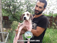 04-khanoom-koochik-sezar-sanctuary