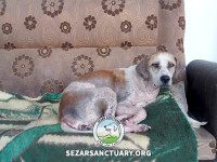 11-khanoom-koochik-sezar-sanctuary