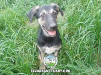 16-siah-koochooloo-sezar-sanctuary