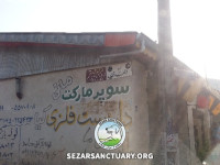 01-lucy2-sezar-sanctuary