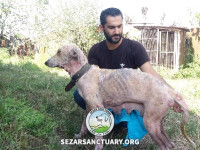 06-lucy2-sezar-sanctuary