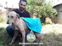 07-lucy2-sezar-sanctuary