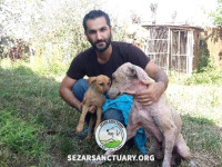 08-lucy2-sezar-sanctuary