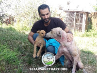 09-lucy2-sezar-sanctuary