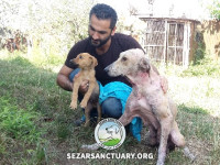 10-lucy2-sezar-sanctuary