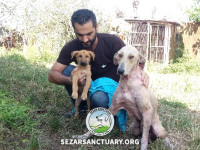 11-lucy2-sezar-sanctuary