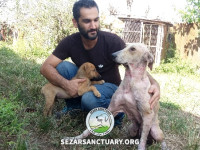 12-lucy2-sezar-sanctuary