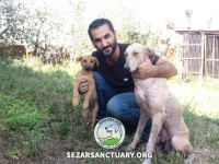 13-lucy2-sezar-sanctuary