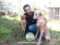 14-lucy2-sezar-sanctuary
