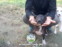 04-pesar-sezar-sanctuary