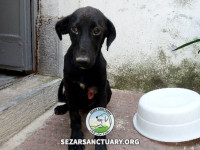 02-lesi-sezar-sanctuary