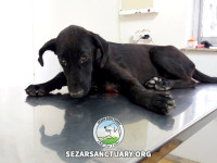 04-lesi-sezar-sanctuary