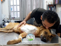 04-arshin-sezar-sanctuary