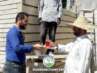 01-sezar-sanctuary-build