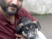 01-nina-sezar-sanctuary