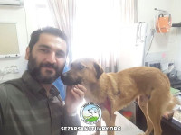 01-shirin-sezar-sanctuary