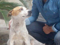 08-agha-shekam-sezar-sanctuary