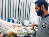 09-agha-shekam-sezar-sanctuary