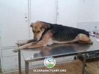 06-baba-bozorg-sezar-sanctuary