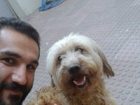 02-belfi-sezar-sanctuary