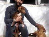 05-ghahvehee-sezar-sanctuary