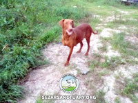 11-ghahvehee-sezar-sanctuary