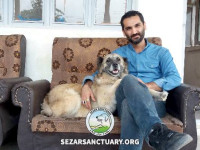 22-gandom-sezar-sanctuary