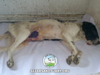 07-lucy-sezar-sanctuary