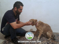 08-hachiko-sezar-sanctuary