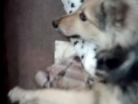 01-jessie-sezar-sanctuary