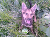 02-jessi-sezar-sanctuary