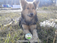 03-jessi-sezar-sanctuary