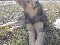 04-jessi-sezar-sanctuary