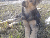 05-jessi-sezar-sanctuary