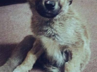 01-khersi-sezar-sanctuary