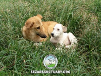 24-khersi-sezar-sanctuary