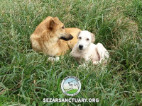 26-khersi-sezar-sanctuary