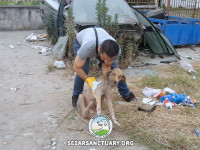 01-khomam-sezar-sanctuary