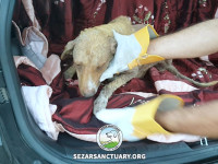 02-khomam-sezar-sanctuary