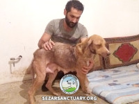 22-khomam-sezar-sanctuary