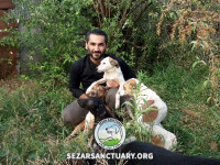 51-khomam-sezar-sanctuary