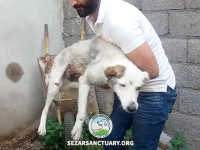 02-khoshhal-sezar-sanctuary