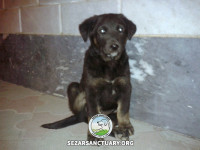 02-mamani-sezar-sanctuary