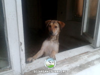 10-mamani-sezar-sanctuary