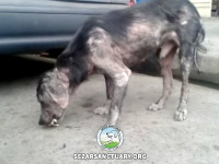 01-meshkoo-sezar-sanctuary