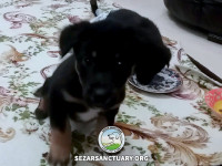 01-padra-sezar-sanctuary