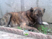 04-palang-sezar-sanctuary